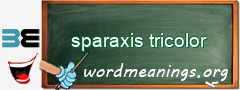 WordMeaning blackboard for sparaxis tricolor